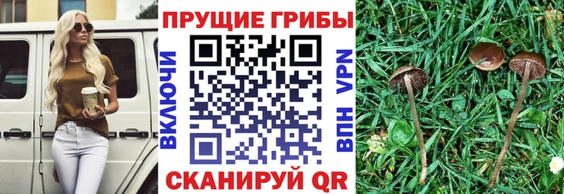Галлюциногенные грибы ЛСД  Елец 