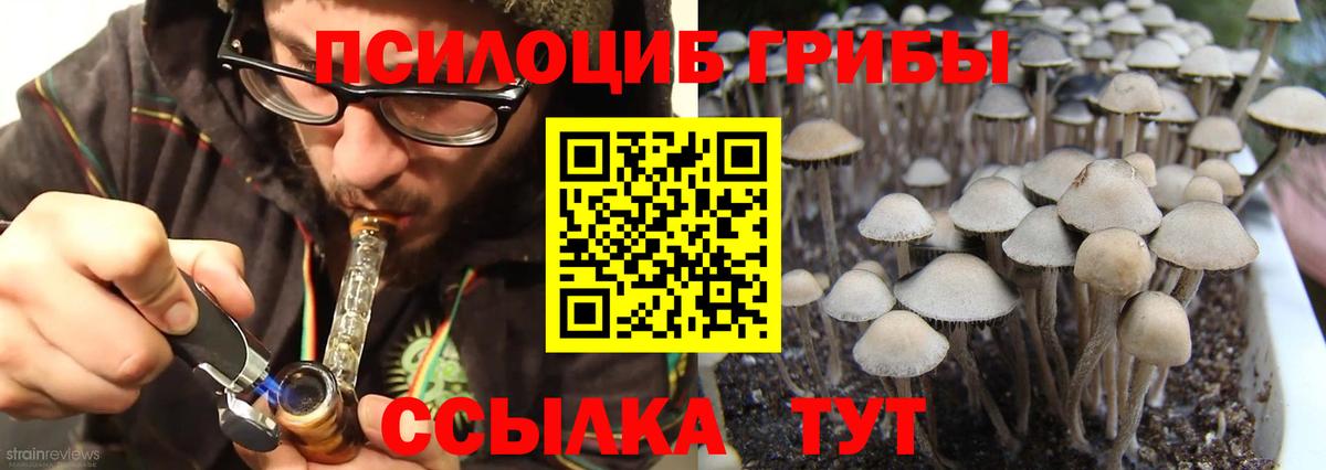 Псилоцибиновые грибы прущие грибы Елец