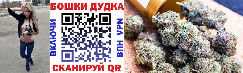где найти наркотики  Елец  Бошки марихуана индика 
